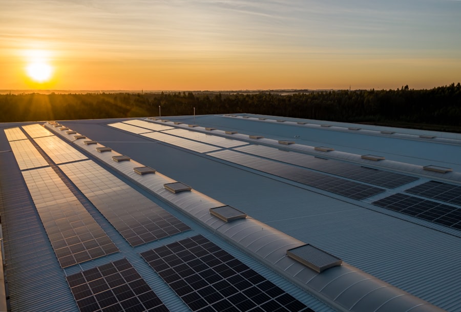 Commercial building rooftop solar panels at sunrise
